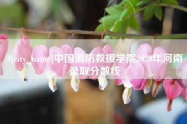 东方中国消防救援学院2020年河南录取分数线
