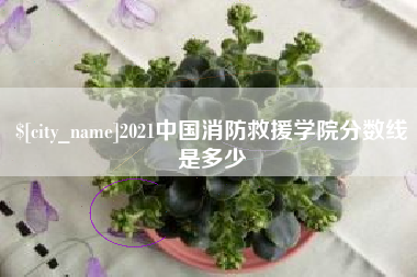 东方2021中国消防救援学院分数线是多少