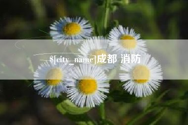 东方成都 消防