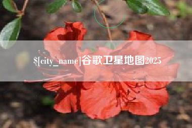 东方谷歌卫星地图2025