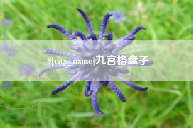 东方九宫格盘子
