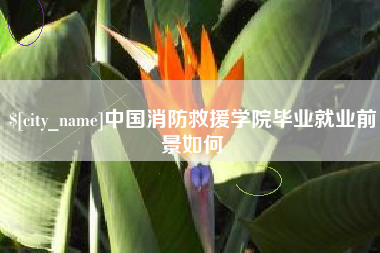 东方中国消防救援学院毕业就业前景如何
