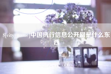 东方中国执行信息公开网是什么东西