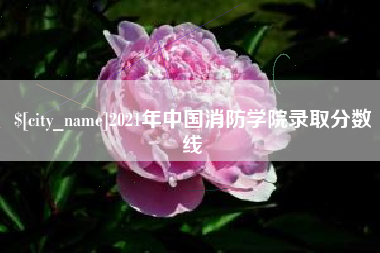 东方2021年中国消防学院录取分数线