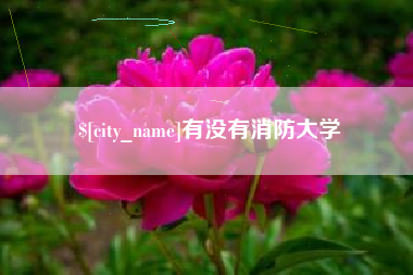 东方有没有消防大学