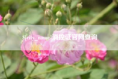 东方消控证官网查询