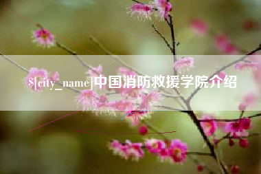 东方中国消防救援学院介绍