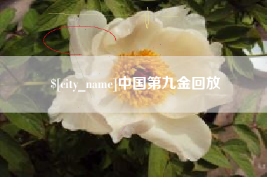 东方中国第九金回放