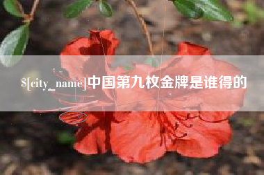 东方中国第九枚金牌是谁得的