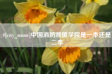 东方中国消防救援学院是一本还是二本