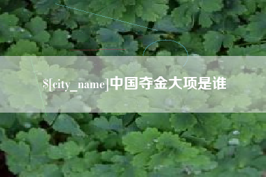 东方中国夺金大项是谁