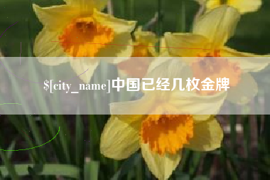 东方中国已经几枚金牌