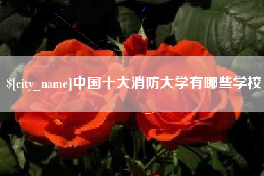 东方中国十大消防大学有哪些学校