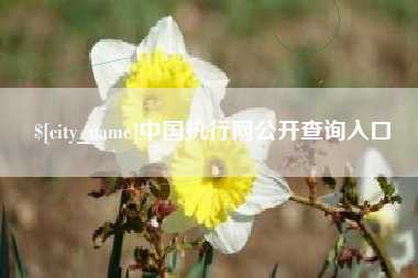 东方中国执行网公开查询入口