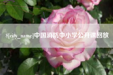 东方中国消防中小学公开课回放