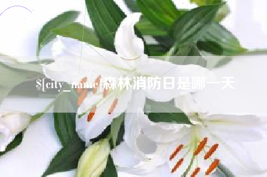 东方森林消防日是哪一天