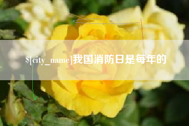 东方我国消防日是每年的