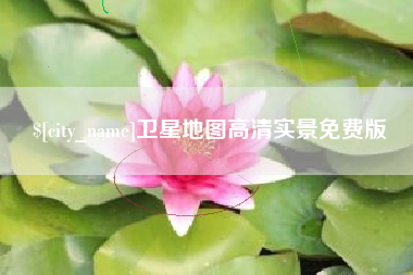 东方卫星地图高清实景免费版