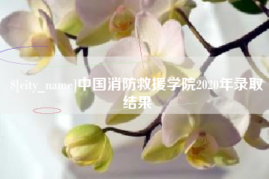 东方中国消防救援学院2020年录取结果