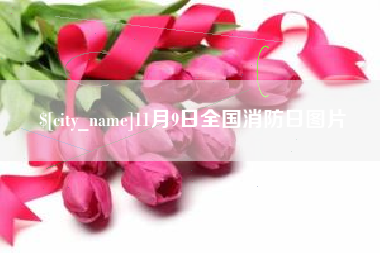 东方11月9日全国消防日图片