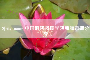 东方中国消防救援学院新疆录取分数