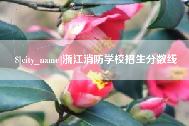 东方浙江消防学校招生分数线