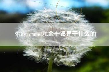东方九金十银是干什么的