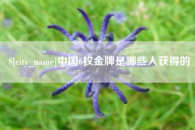 东方中国6枚金牌是哪些人获得的