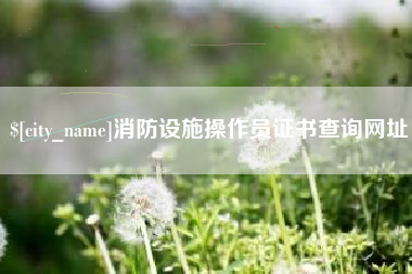 东方消防设施操作员证书查询网址