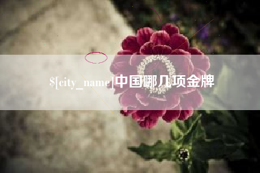 东方中国哪几项金牌