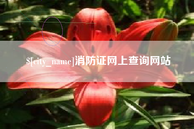 东方消防证网上查询网站