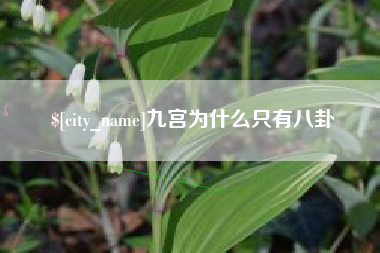 东方九宫为什么只有八卦