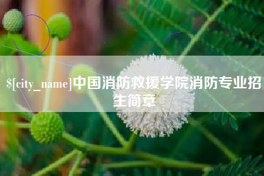 东方中国消防救援学院消防专业招生简章