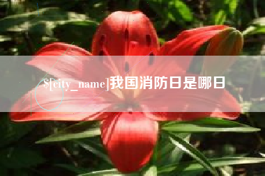 东方我国消防日是哪日