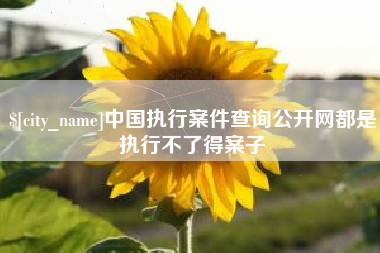 东方中国执行案件查询公开网都是执行不了得案子