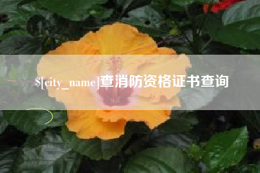 东方查消防资格证书查询
