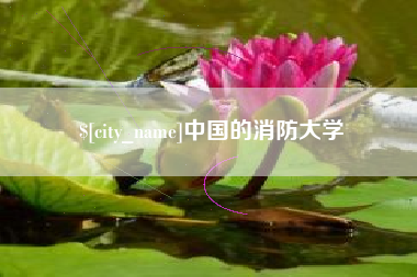 东方中国的消防大学