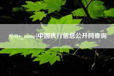 东方中国执行信息公开网查询