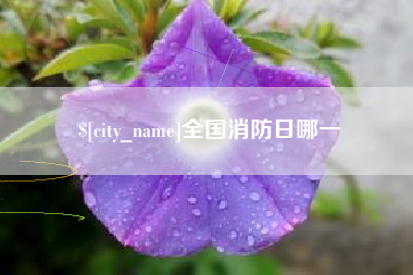 东方全国消防日哪一