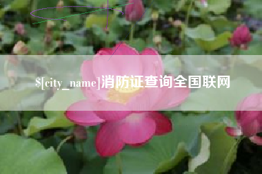 东方消防证查询全国联网