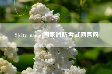 东方国家消防考试网官网