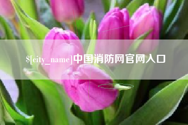 东方中国消防网官网入口