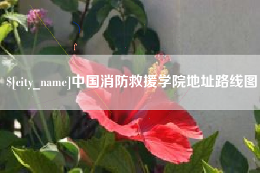 东方中国消防救援学院地址路线图