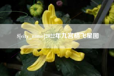 东方2022年九宫格飞星图
