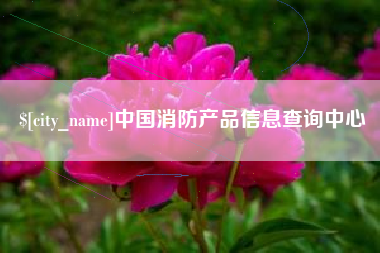 东方中国消防产品信息查询中心