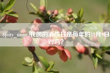 东方我国的消防日是每年的11月9日对吗？