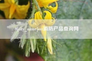 东方ccc消防产品查询网
