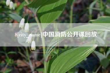 东方中国消防公开课回放
