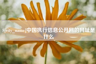 东方中国执行信息公开网的网址是什么