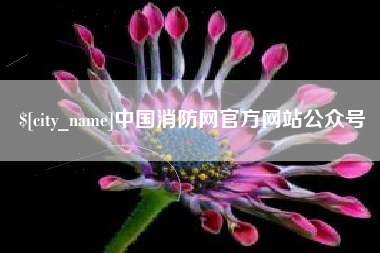 东方中国消防网官方网站公众号